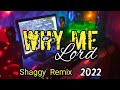 Dj  Why Me Lord Shaggy  Remix 2022. Lagu Acara. { Jovi Wrk _Paul Remixer }.