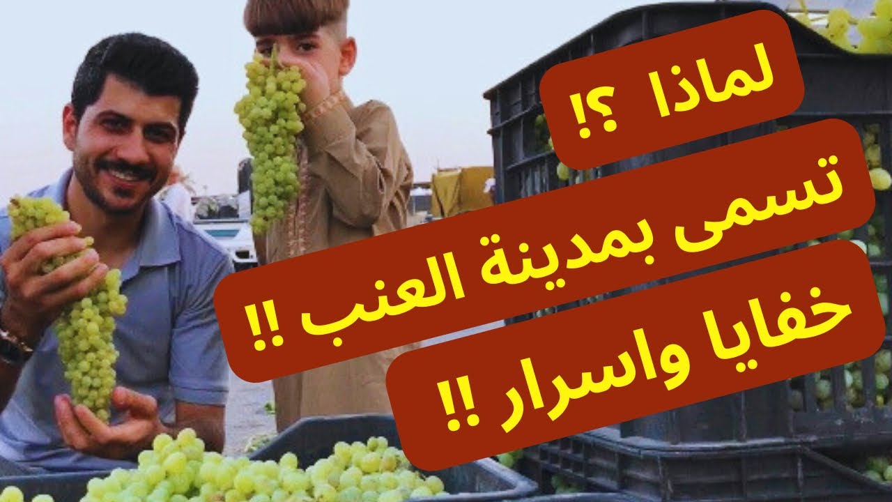 مدينة العنب !! والفلاح الذي يعمل فيها منذ 27 عام !! أسرار و رحلة ممتعة