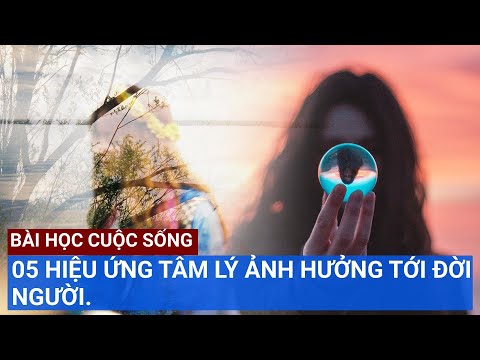 Video 05 HIỆU ỨNG TÂM LÝ ẢNH HƯỞNG TỚI ĐỜI NGƯỜI. - youtube