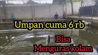 TES UMPAN JITU CUMA 6RB‼️TANPA ESSEN‼️KOK BISA NGURAS ANYINGGG
