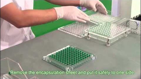 100 hole capsule filling machine operation video from CAPSULCN