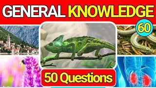 General Knowledge Quiz Trivia 60 📚💡| Can You Answer All 50 Questions Correctly? 2024 by QuizzyQuest 4,835 views 1 month ago 12 minutes, 44 seconds