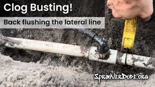 Clog Busting: How to Back Flush the Lateral Line in Your Irrigation System