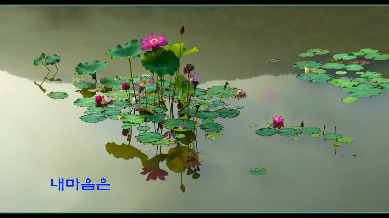 청경 조상규 작품 3