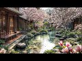 Spring Blossom with Pond, Birds &amp; Nature Sounds | Relaxing Meditation &amp; Healing Ambience