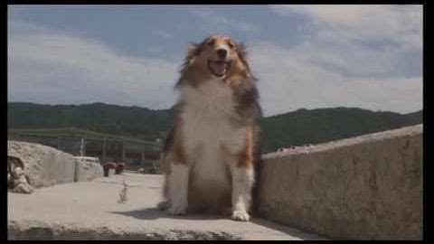 映画「マリリンに逢いたい」予告編・エンディング