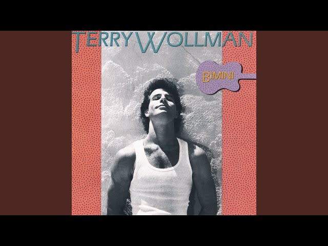 Terry Wollman - Reflections