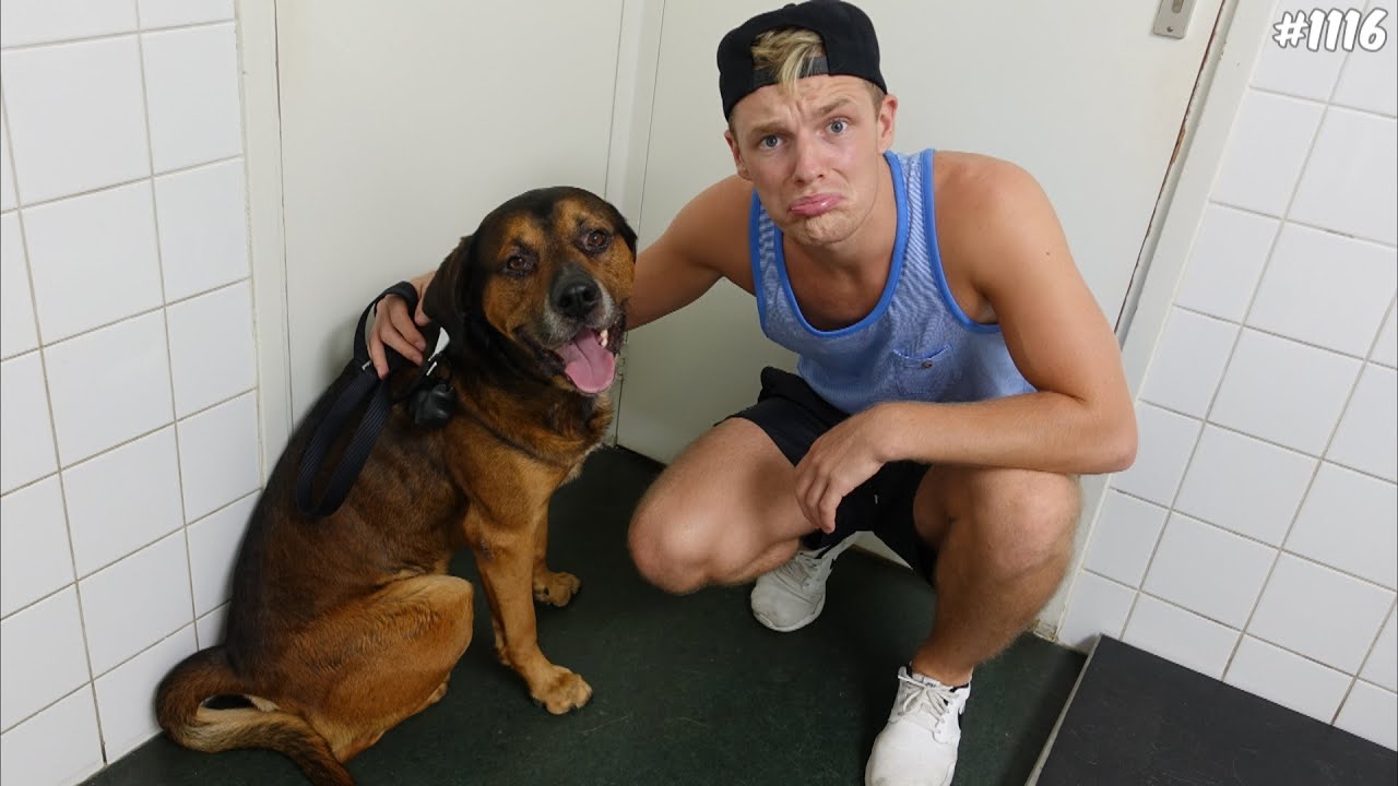 dusdavidgames discord BUMPER HEEFT PIJN! - ENZOKNOL VLOG #1116