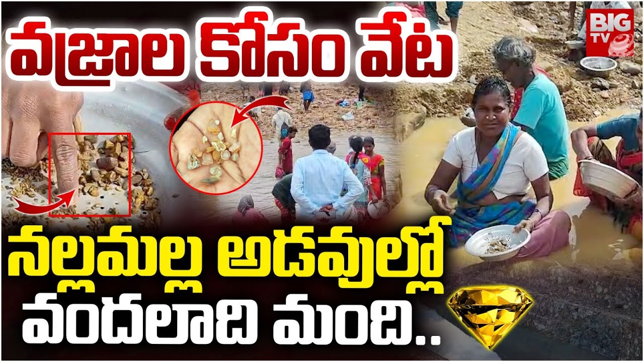 వజ్రాల కోసం వేట | Diamonds Hunt in Nallamalla | Kurnool | Gajulapalli | BIG TV TELUGU LIVE