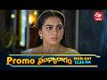 Sandya Ragam Latest Promo | Episode No 283 | 25th April 2026 | ETV Telugu