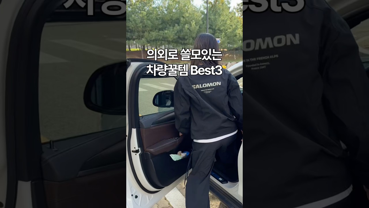 쓸모있는 차량꿀템 Best3🚗