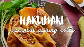 Japanese Spring Rolls Recipe (春巻き Harumaki)