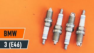 Werkplaatshandboek en Video-tutorials Duster (HS_) 2.0 4x4