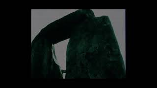 Transient - Sun Shining In My Window