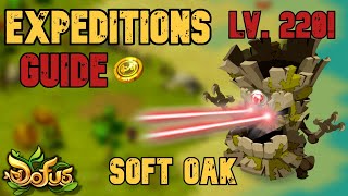 DOFUS - EXPEDITIONS - Soft Oak Guide! [ 8 loot ] screenshot 2