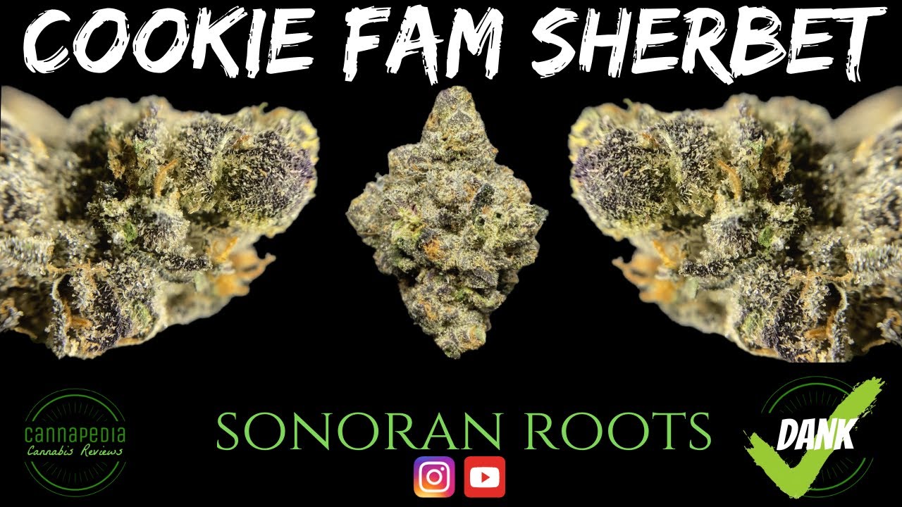 Cookie Fam Sherbet - Sonoran Roots - Cannapedia