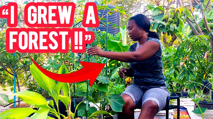 I turned my backyard into a thriving food forest 🌿