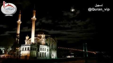 القارى يوسف العيدروس سورة القيامه