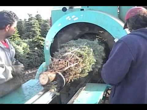 Christmas Tree Baler - High Speed Baler And Hydraulic Shaker - YouTube - Christmas Tree Baler - High Speed Baler And Hydraulic Shaker - YouTube