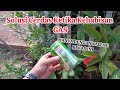 Gak perlu beli Gas lagi,Cukup pakai kaleng bekas ini saja!! || Solusi Gas habis