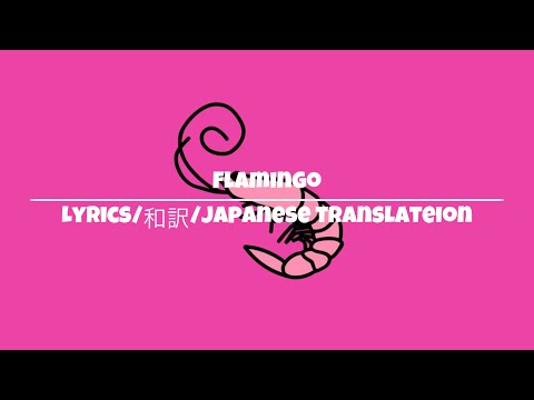 flamingo | translate 和訳