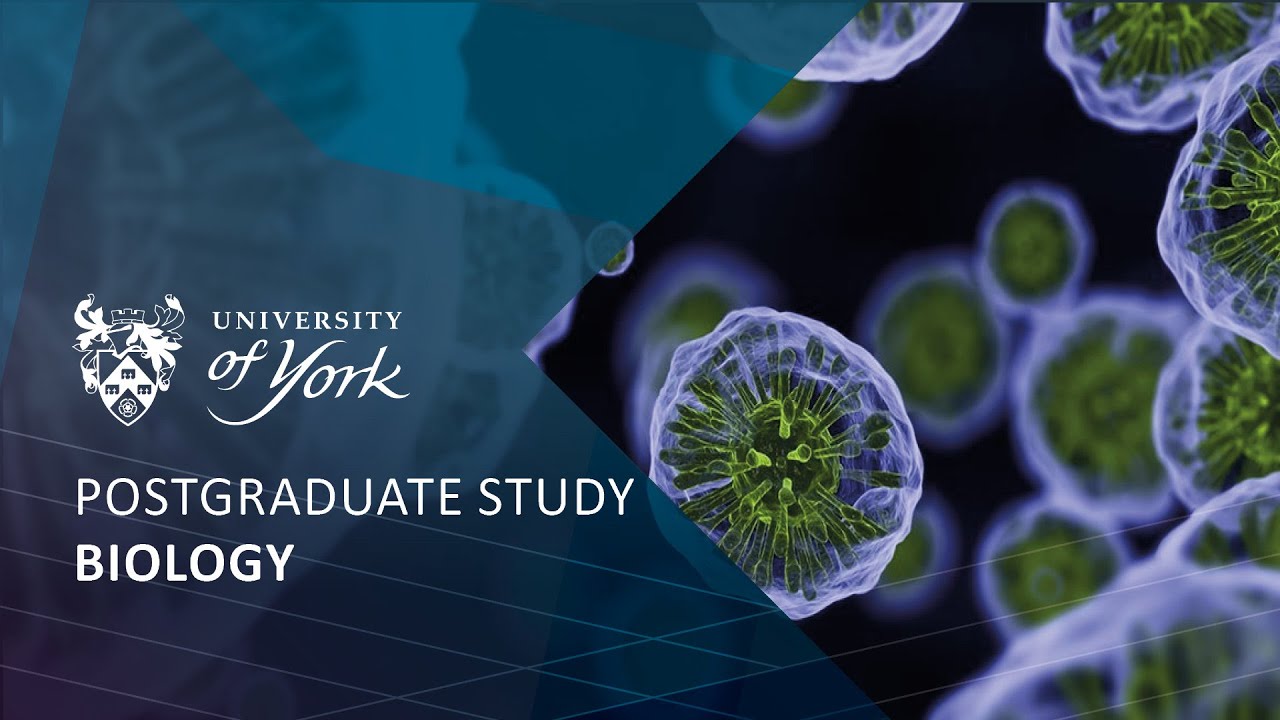 Postgraduate study with the Department of Biology - Find out more about postgraduate study in the Department of Biology at York.