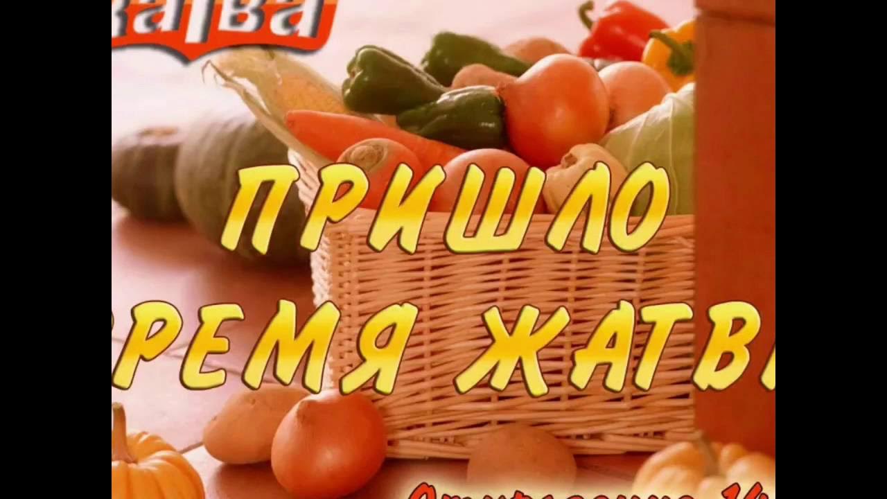Приглашение на праздник жатвы. Праздник жатвы в библии. Стихи о праздник жатвы. Стих на жатву ехб. Стих на жатву ехб.