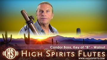 Condor Bass, Key of "B" - Walnut