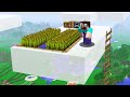 HOW can a NOOB SURVIVE on a CLOUD? in Minecraft Noob vs Pro