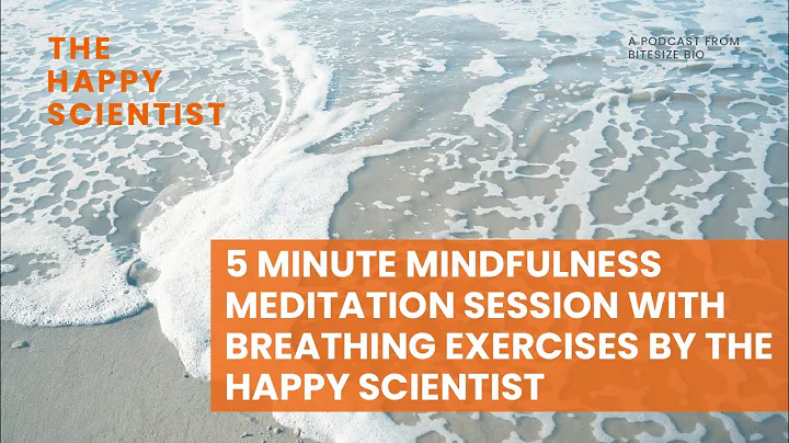 5 Minute Mindfulness Meditation Session with Breat...
