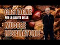 🌰CASTAGNE, un alimento senza glutine per la salute delle MUCOSE RESPIRATORIE