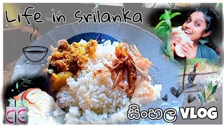 මට වෙච්ච වැඩක් ?? | A day in my life ?️ sinhala vlog Dayvlog harshionline