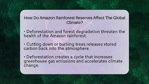 How Do Amazon Rainforest Reserves Affect The Global Climate? - Ecosystem Essentials