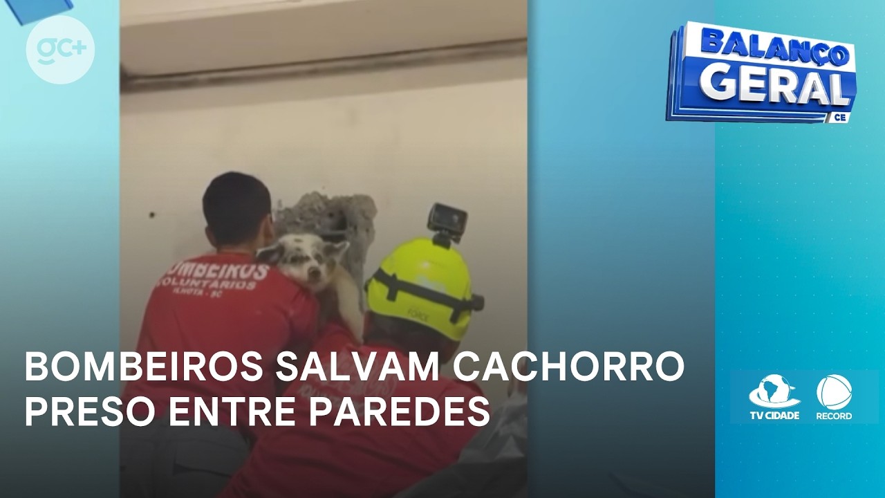 Bombeiros lutam contra o tempo para salvar cachorrinho preso entre paredes | Balanço Geral CE