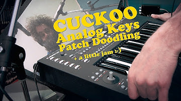 Analog Keys Cuckoo Patches + jam