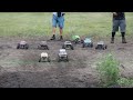 All Out RC Mega Truck Mud Bog