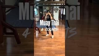 Muay Thai 4 count combos💥