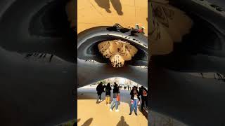 The Controversy of the Chicago Bean