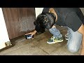 Taking pictures in bathroom prank part 2  avrpranktv  pranks in india