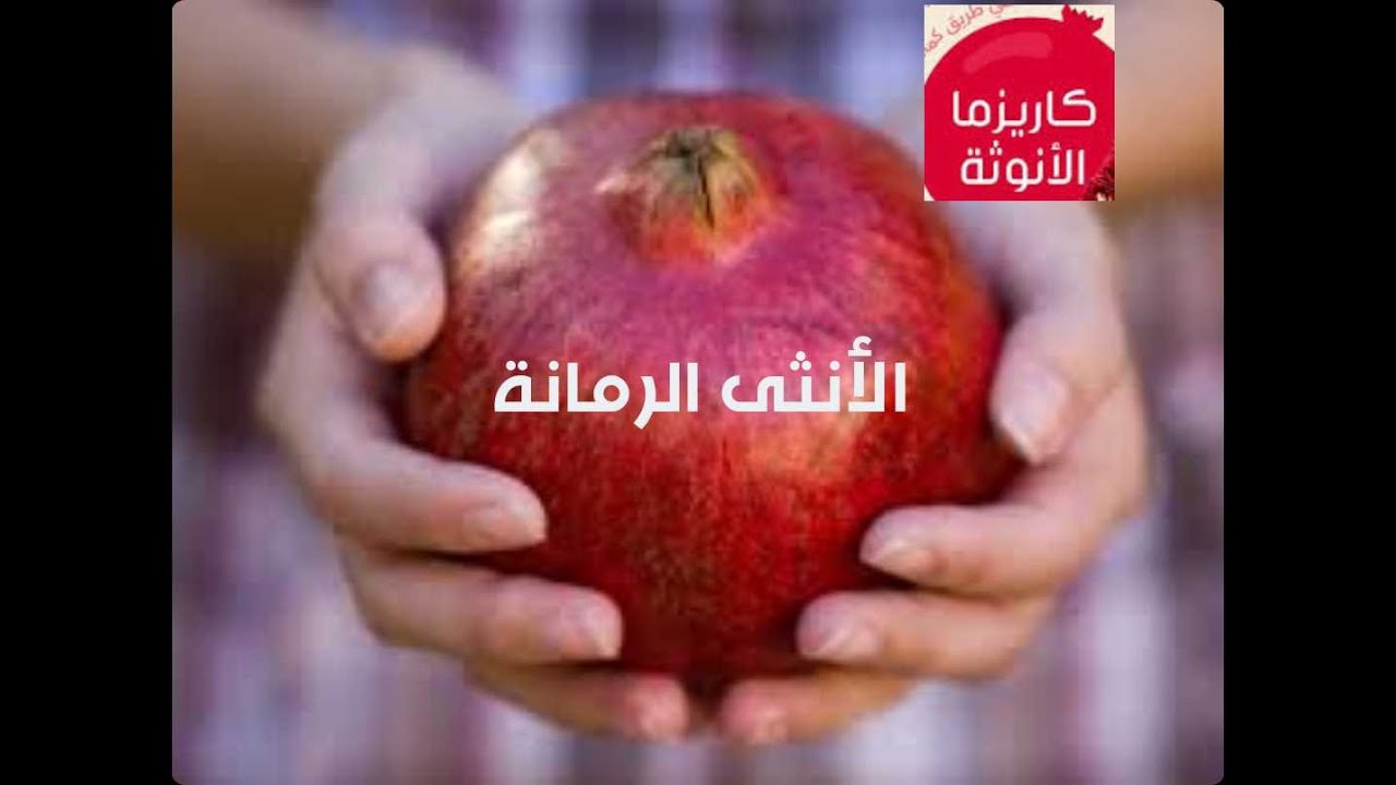 #كاريزما الأنوثة، الأنثى الرمانة