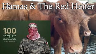 Hamas and The Red Heifer