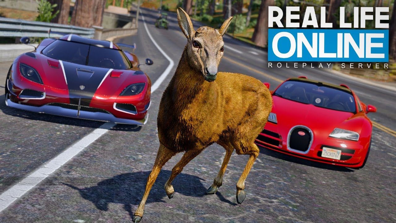 1 TAG ALS TIER UNTERWEGS - GTA 5 Real Life Online