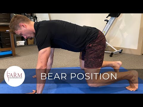 Bear Position - DNS 11-12 Month Position