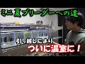 引っ越して温室へ！ミニ夏コンテストブリーダーへの道 #4【大分グッピーFC】