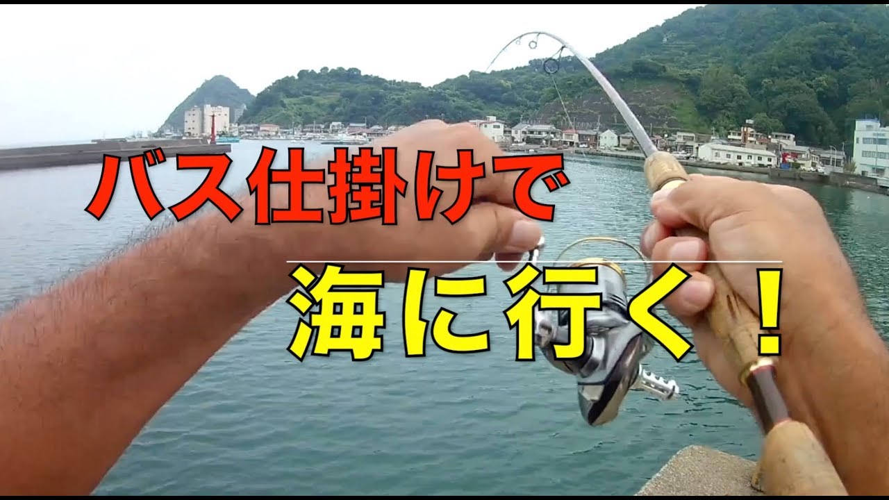 漁港で簡単ルアー釣り 沼津はやっぱりいい Youtube