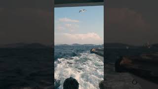 جمال البحر في تركيا  | boat trip