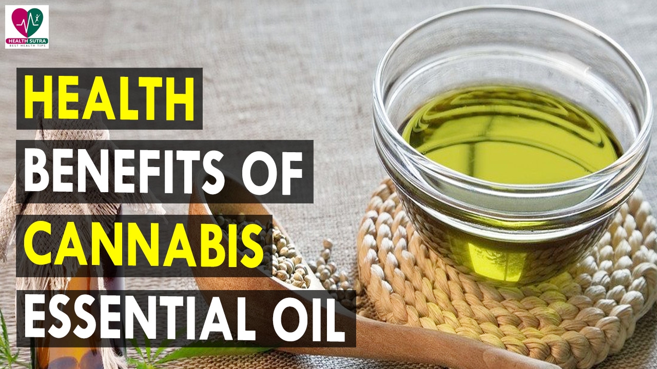 Health Benefits Of Cannabis Essential Oil - Health Sutra - Best Health Tips dr.khader health tips in english