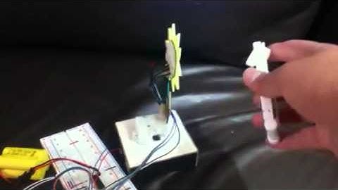 Girasol seguidor de luz