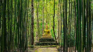 Buddha's Flute | Bamboo Forest