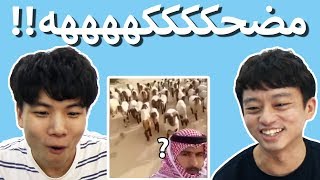 رد فعل كوري على الفيديو المضحك العربي | Korean react to Arab Funny Video